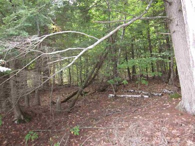 0 Perch Pond Rd unit 4517350, Lisbon, NH 03585 - photo 3