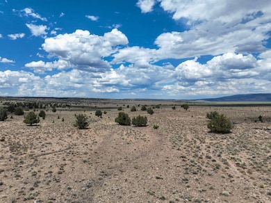 TL 500 Sheep Lake Rd, Riley, OR 97758 - photo 2