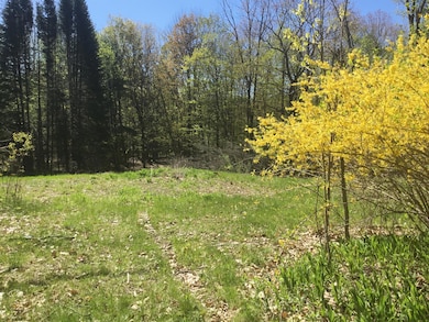 103 Hodsdon Rd, Pownal, ME 04069 - photo 2