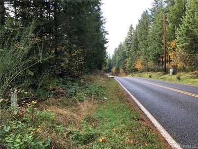 0 Bald Hills Rd SE unit 1686239, Yelm, WA 98989 - photo 5