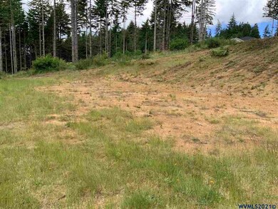 0 Swordfern Ridge Rd unit 778065, Blodgett, OR 97326 - photo 3