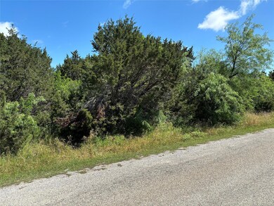 816 Devils River Dr, Granbury, TX 76048 - photo 4
