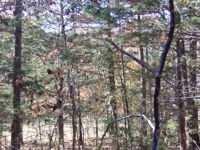 000 Montego Dr, Ruth B Rural Township, MO 65686 - photo 5