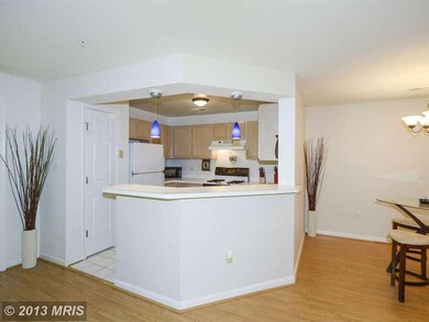 13201 Cloppers Mill Dr unit 11-G, Germantown, MD 20874 - photo 5