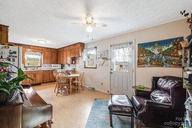 11 Overlook Dr, Leicester, NC 28748 - photo 7