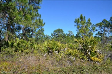 View of landscape