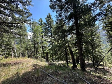 0 Tbd Calkins unit REC5883648, Jasper, CO 81146 - photo 2