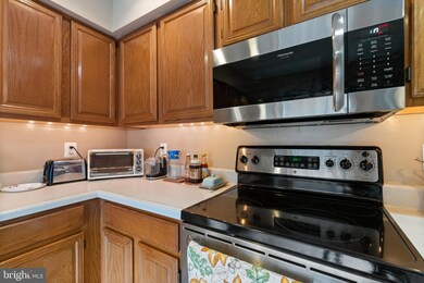 12293 Wye Oak Commons Cir unit 100, Burke, VA 22015 - photo 5