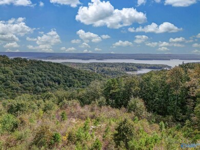 215 Wilson Rd, Scottsboro, AL 35769 - photo 4