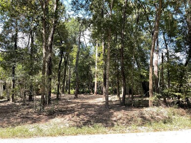 0 Walker Dr, Conroe, TX 77303 - photo 2