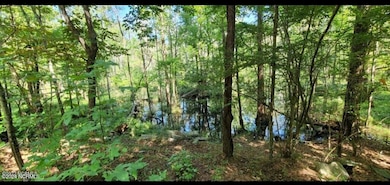 Tbd Ella Sofia Ln, New Bern, NC 28562 - photo 2