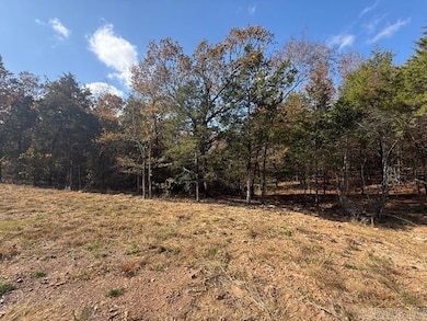 38 Summer Sky Dr, Greenbrier, AR 72058 - photo 3