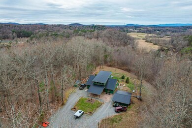 420 Piney Spur Rd, Ellijay, GA 30536 - photo 4