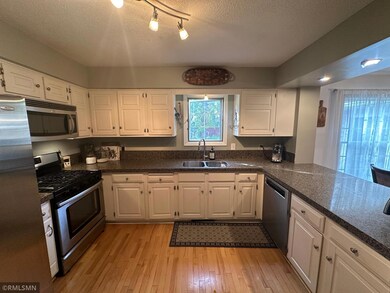 10301 Boundary Creek Terrace, Maple Grove, MN 55369 - photo 3