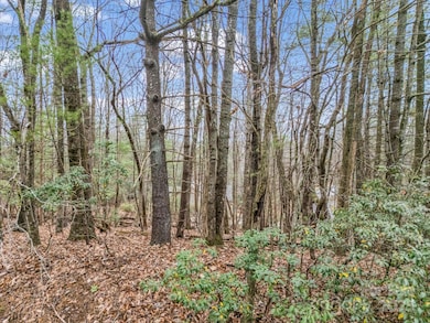 TBD Ossarooga Ct unit Lot 29/Unit 6, Brevard, NC 28712 - photo 6
