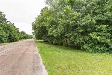TBD W Point Trail, Richville, MN 56576 - photo 2
