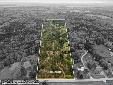 Bird's eye view with a forest view