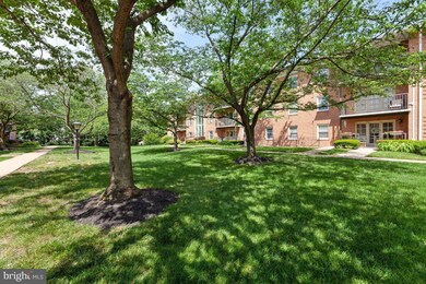 3336 Spring Ln unit A24, Baileys Crossroads, VA 22041 - photo 6