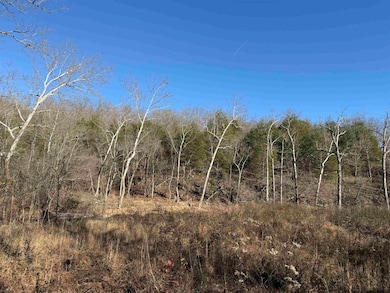 00 Highway 63, Ravenden, AR 72459 - photo 3