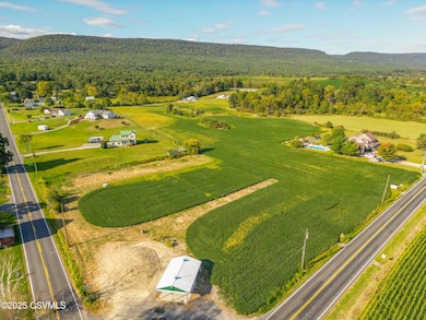 8791 Pa State 235 Route, Beavertown, PA 17813 - photo 7