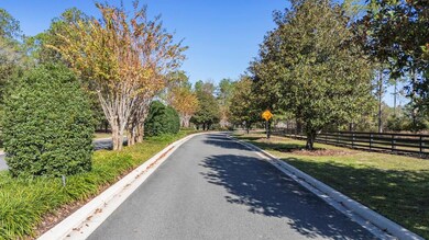 24238 Deep Springs Loop, Eustis, FL 32736 - photo 4