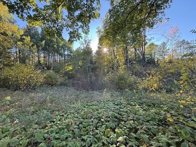 ON S Newman Lake Rd, Fifield, WI 54552 - photo 5