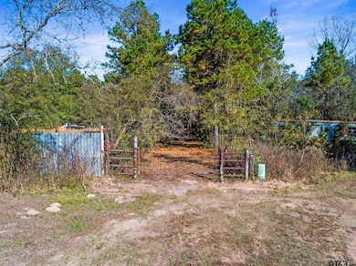 TBD County Road 396, Tyler, TX 75708 - photo 3