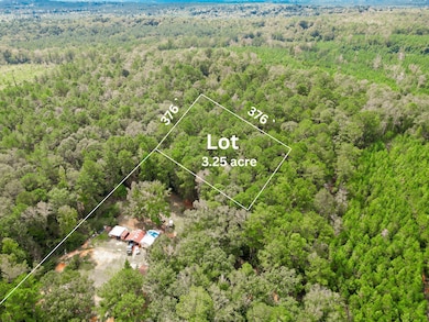 00 Florida 81, Ponce de Leon, FL - photo 2