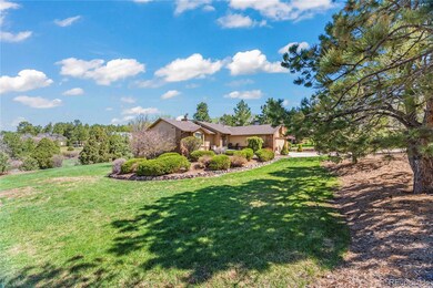 Front Yard Landscape