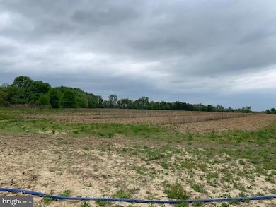 0 Cecilton Warwick Rd unit MDCC2018578, Warwick, MD 21912 - photo 5