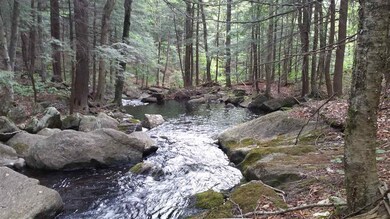 Lot 0 Howe Pond Rd, Readsboro, VT 05350 - photo 3