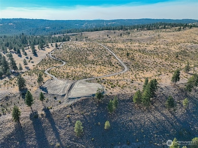 0 Evergreen Camp Rd Parcel C, Chelan, WA 98816 - photo 3