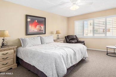 14 - Camelback 10-28-25