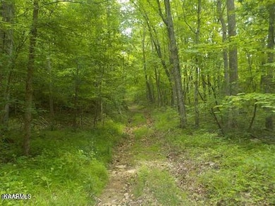 0 Lea Lakes Rd unit 1220944, Blaine, TN 37709 - photo 4