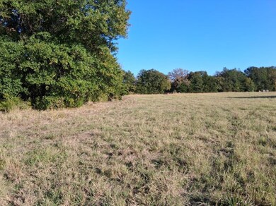 1071 Cr 2205, Ivanhoe, TX 75447 - photo 5