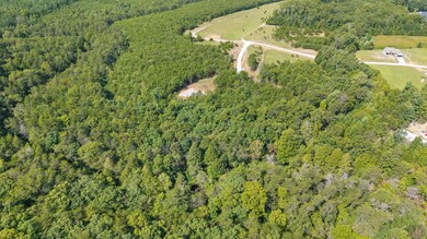 54 Creekview Ln, Altamont, TN 37301 - photo 4