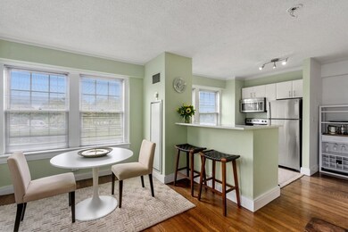 The Charlesview unit 307, Boston, MA 02215 - photo 3