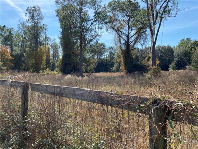 19690 NE 73rd Terrace, Citra, FL 32113 - photo 5