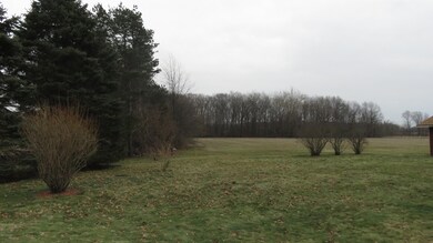 14229 Pardee Rd, Three Oaks, MI 49128 - photo 3