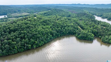 0 Will Black Hollow Rd unit 21424720, Ragland, AL 35131 - photo 7