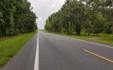 0 Bascom Norris Us-41 unit 101541, Lake City, FL 32055 - photo 4