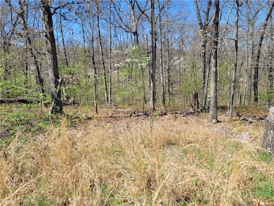 0 Ayton Ln unit 1271975, Bella Vista, AR 72714 - photo 5