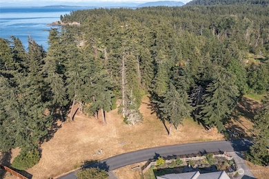 9 Fossil Bay Dr, Eastsound, WA 98245 - photo 5