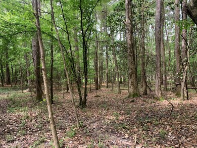 2190 Ernest A Thompson Rd, Ruth, MS 39662 - photo 5