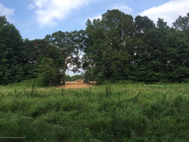 Land Pic 3