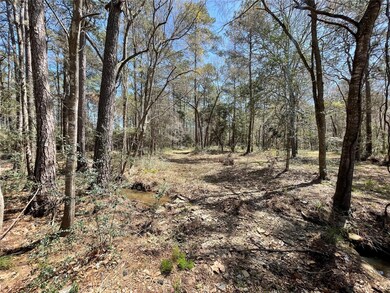 TBD2 Dan Cir, Magnolia, TX 77355 - photo 6