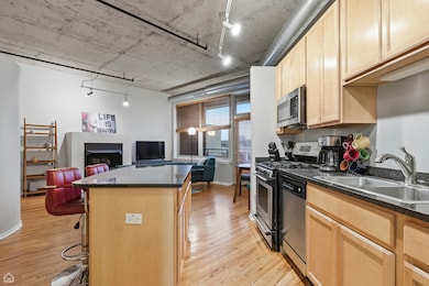 SkyTech Lofts unit 920S, Chicago, IL 60607 - photo 5
