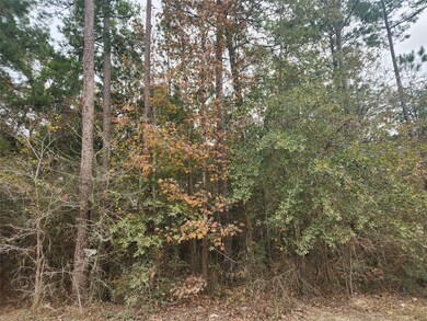 Lot 1 Yupon Branch Ln, Plantersville, TX 77363 - photo 6