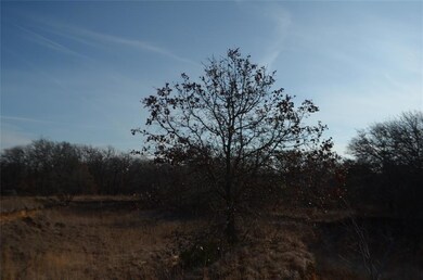 TBD Old Agnes Rd, Weatherford, TX 76088 - photo 6