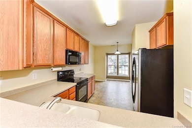 332 Berg Cir unit 118, Fort Mill, SC 29715 - photo 7